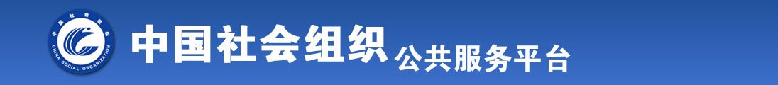 8mav老熟女站全国社会组织信息查询